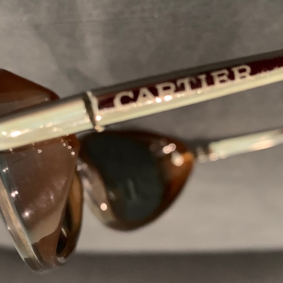 Cartier Sunglasses (Frames) - Picture 8 of 15